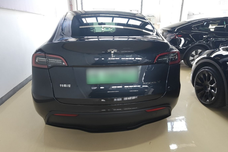 Tesla Model Y 2024 #6 Tesla Model Y 2024 car image #6