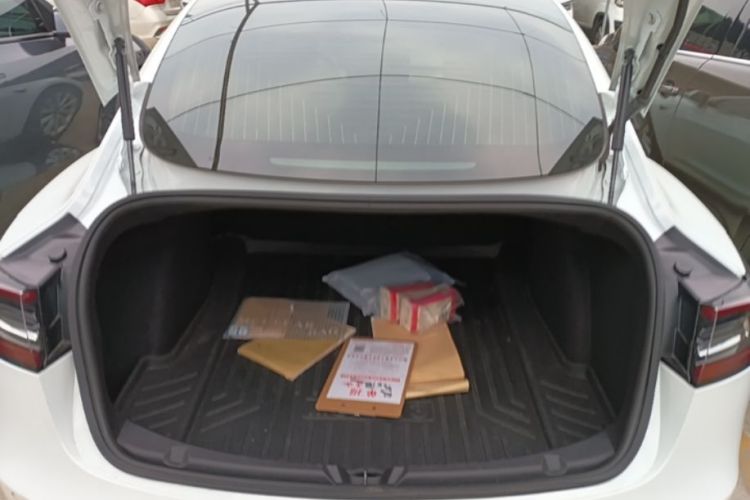Tesla Model 3 2020 car image #19