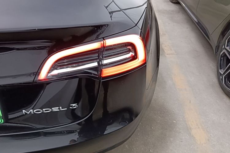 Tesla Model 3 2022 изображение автомобиля #8