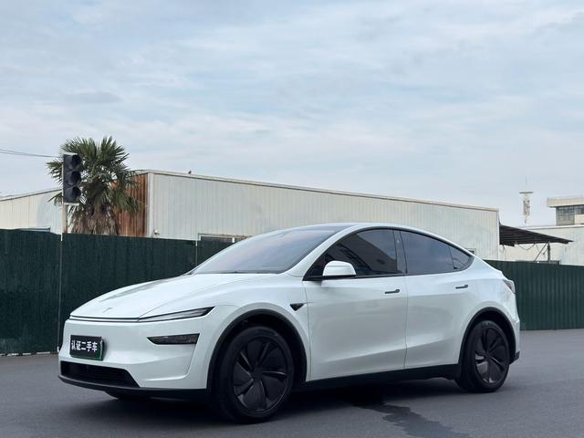 Tesla Model Y 2025 car image #11