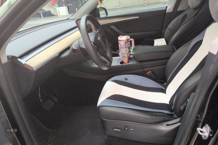 Tesla Model Y 2023 car image #17