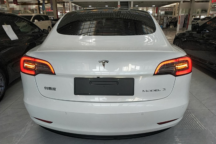 Tesla Model 3 2021 #6 Tesla Model 3 2021 car image #6