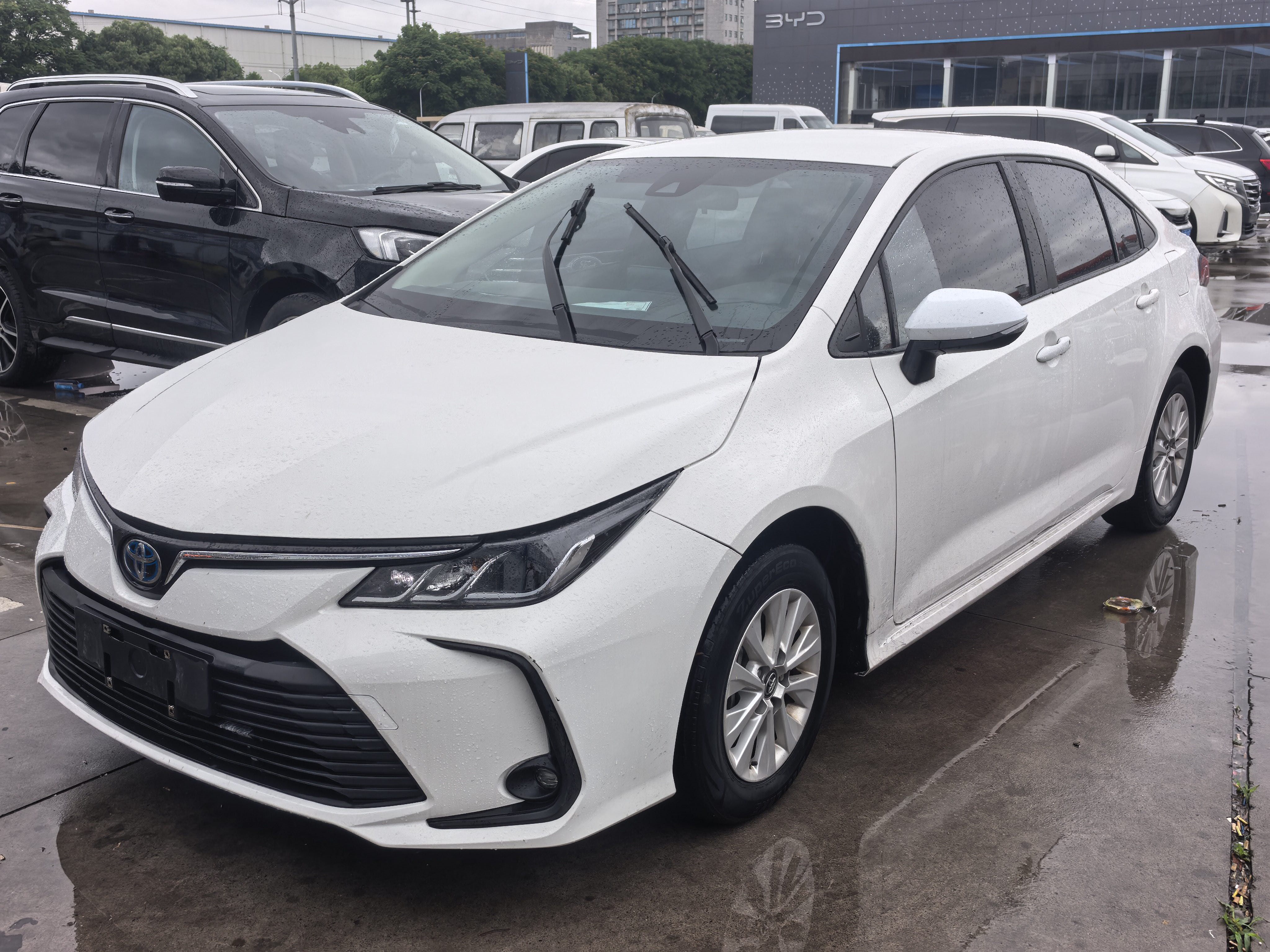 Toyota Corolla 2023 Toyota Corolla 2023 car image