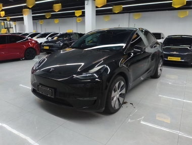 Tesla Model Y 2021 Tesla Model Y 2021 car image