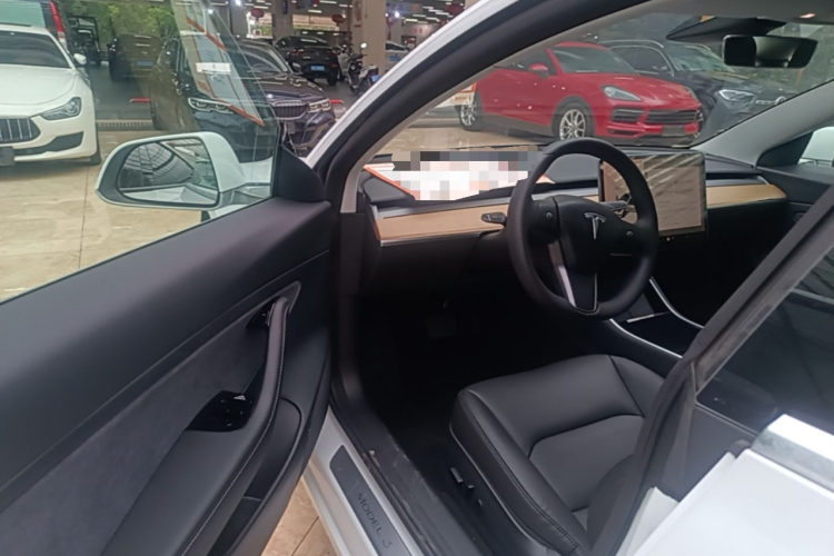 Tesla Model 3 2021 #16 Tesla Model 3 2021 car image #16