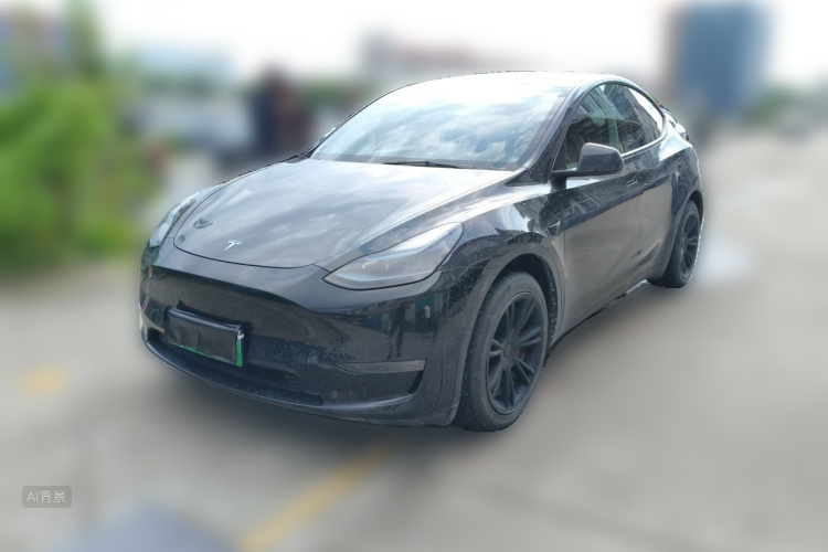 Tesla Model Y 2021 #2 Tesla Model Y 2021 car image #2