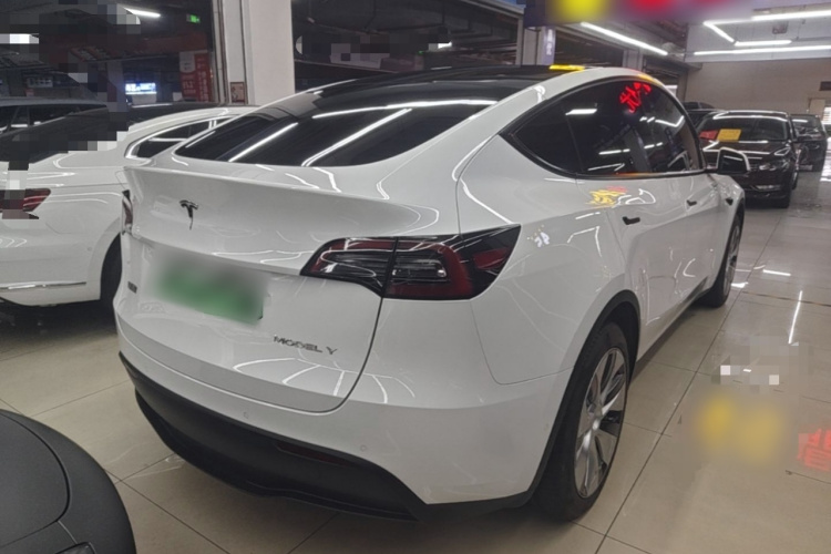 Tesla Model Y 2022 #7 Tesla Model Y 2022 car image #7