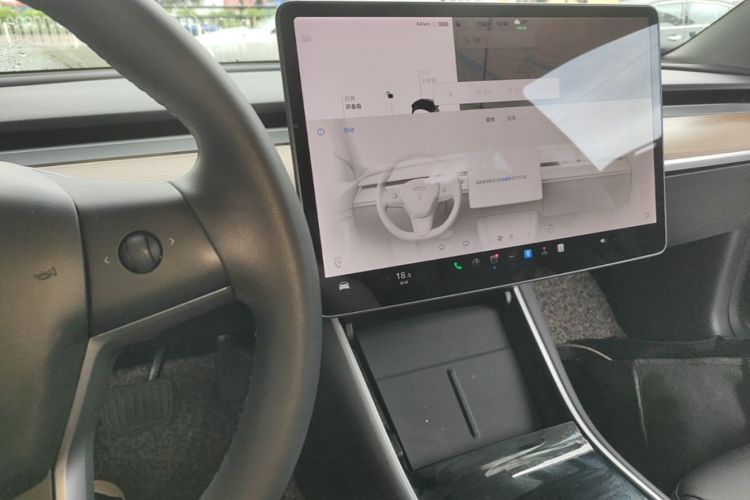Tesla Model 3 2020 car image #13