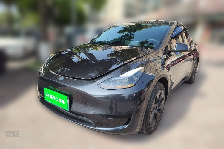 Tesla Model Y 2024 car image #2