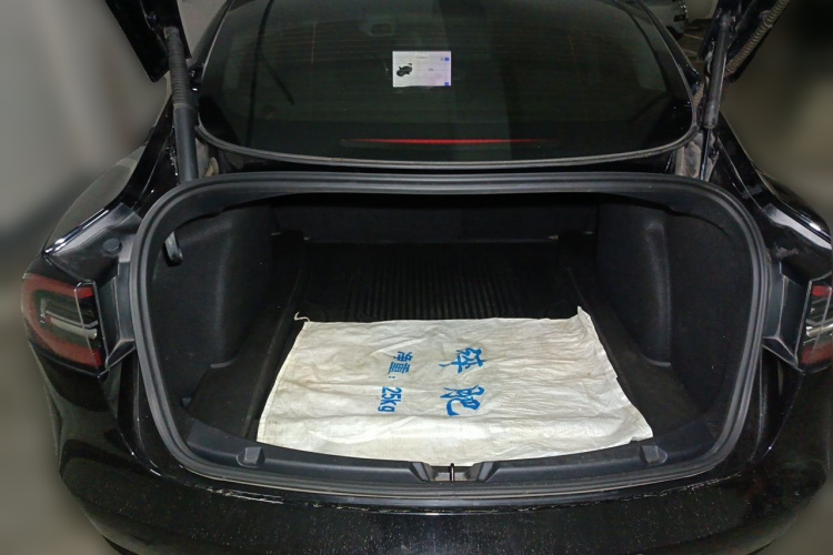 Tesla Model 3 2021 #21 Tesla Model 3 2021 immagine di auto #21