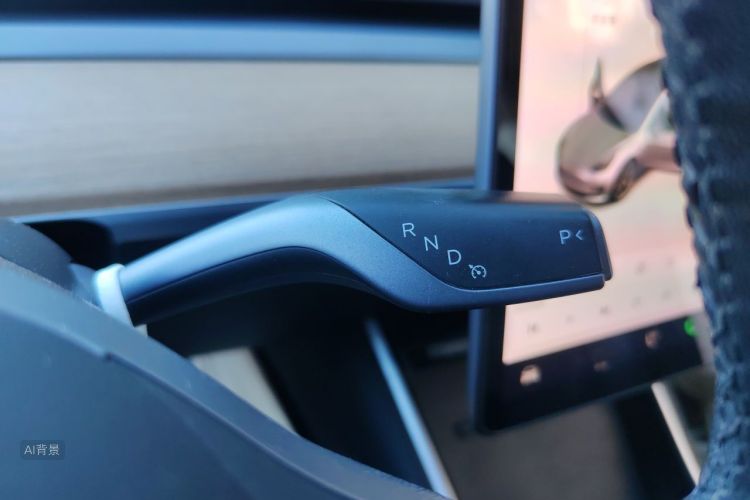 Tesla Model 3 2020 car image #16