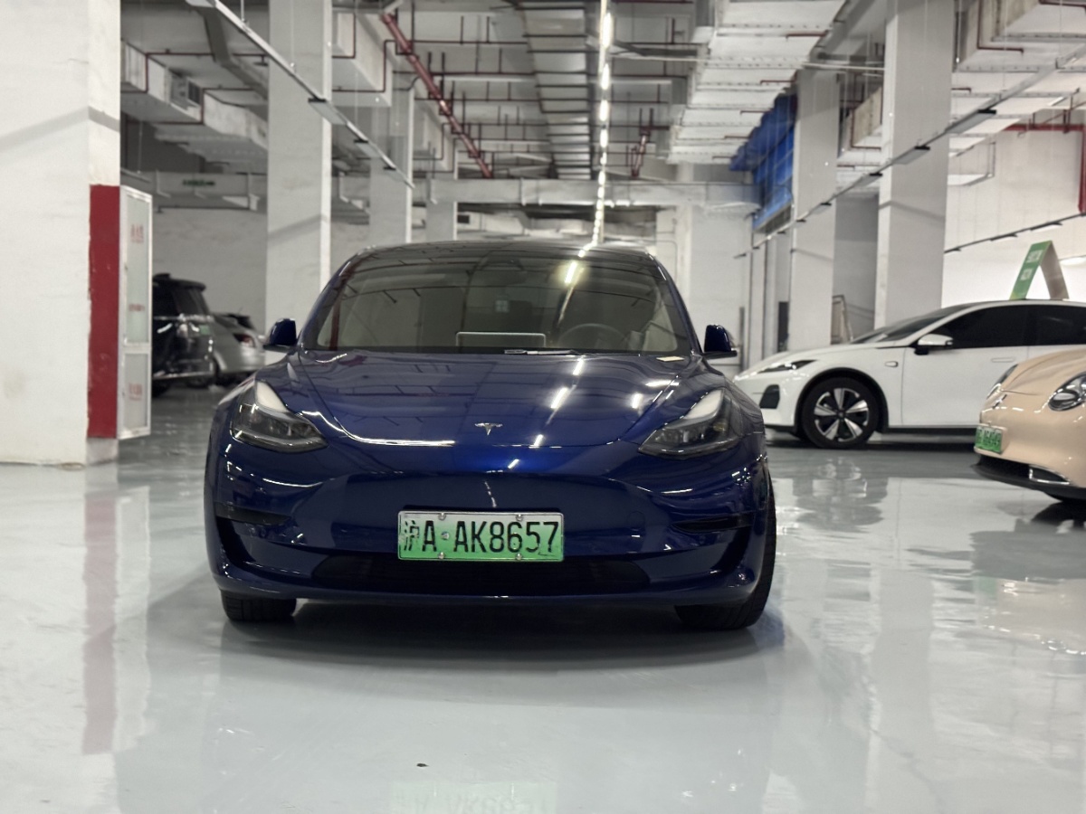 Tesla Model 3 2022 #3 Tesla Model 3 2022 car image #3