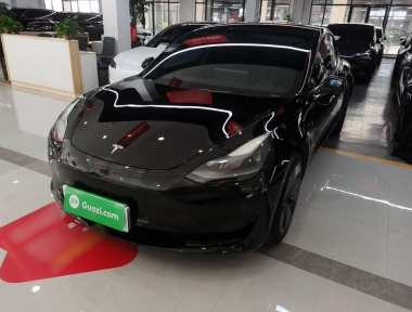 Tesla Model 3 2022 Tesla Model 3 2022 car image