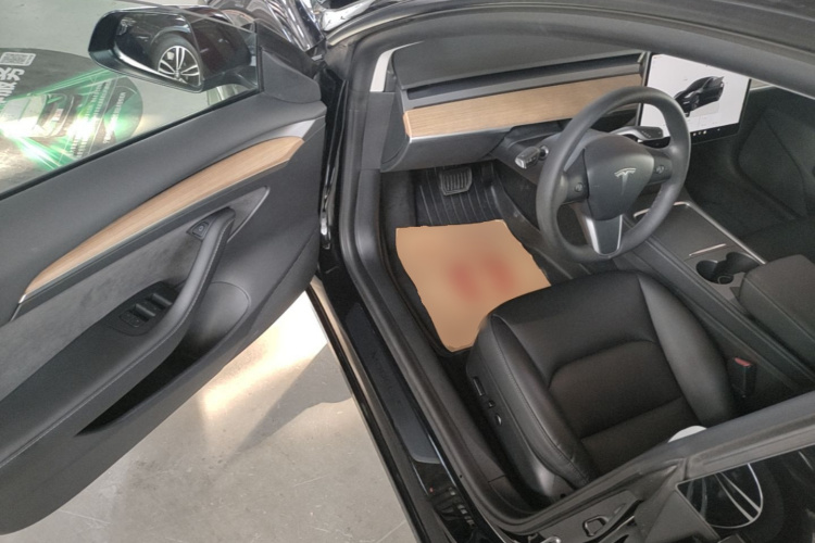 Tesla Model 3 2022 immagine di auto #16