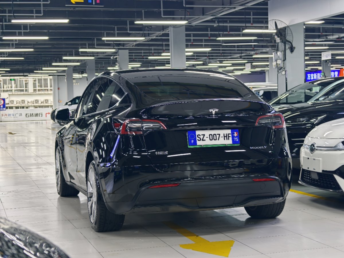 Tesla Model Y 2021 car image #7
