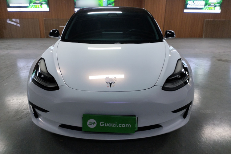 Tesla Model 3 2020 #3 Tesla Model 3 2020 car image #3