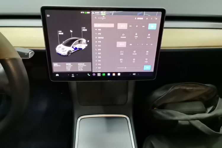 Tesla Model 3 2021 car image #17