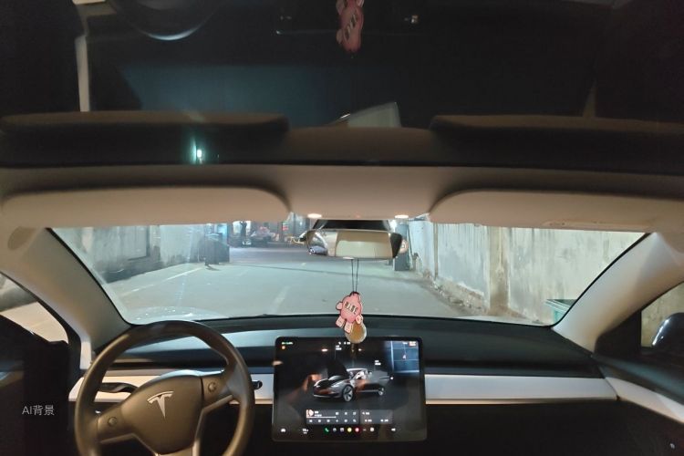 Tesla Model 3 2022 car image #20