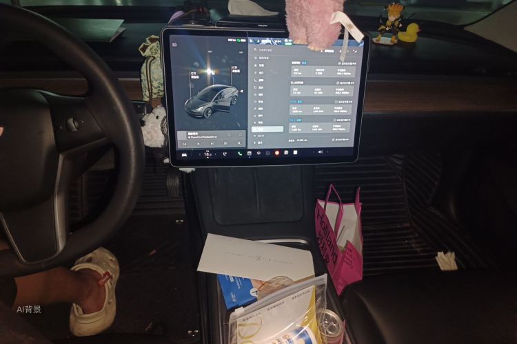 Tesla Model 3 2021 car image #15