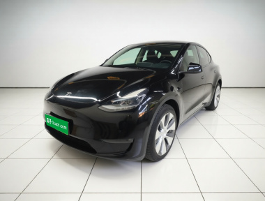 Tesla Model Y 2022 car image 