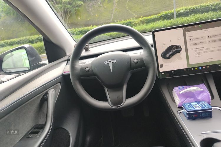 Tesla Model Y 2024 car image #12