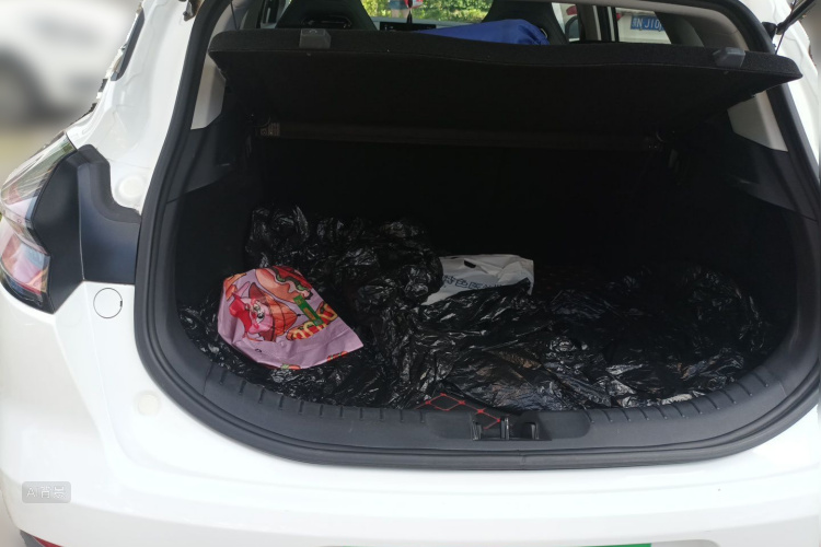 GEELY Emgrand S 2021 car image #21