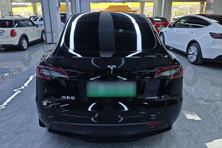 Tesla Model Y 2023 car image #6