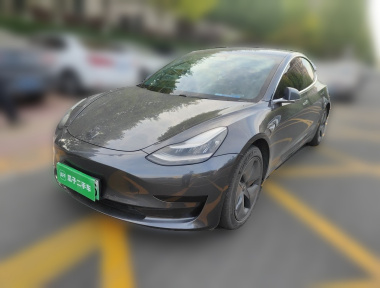 Tesla Model 3 2020 car image 