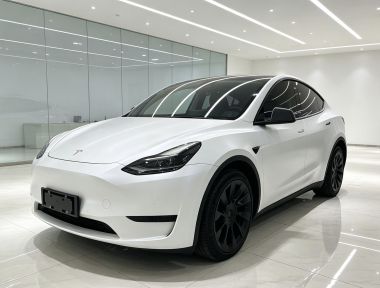 Tesla Model Y 2022 Tesla Model Y 2022 car image