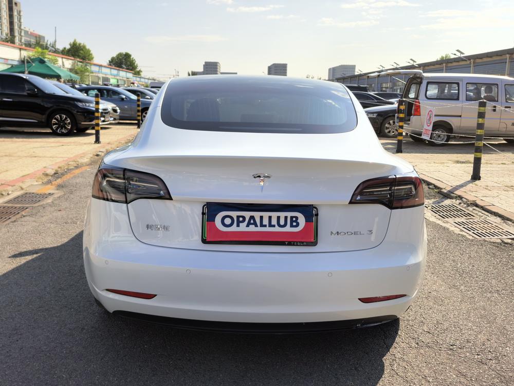 Tesla Model 3 2020 #5 Tesla Model 3 2020 car image #5