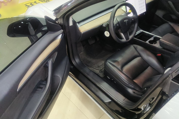 Tesla Model 3 2021 car image #12