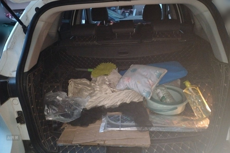 2019 image de voiture #21