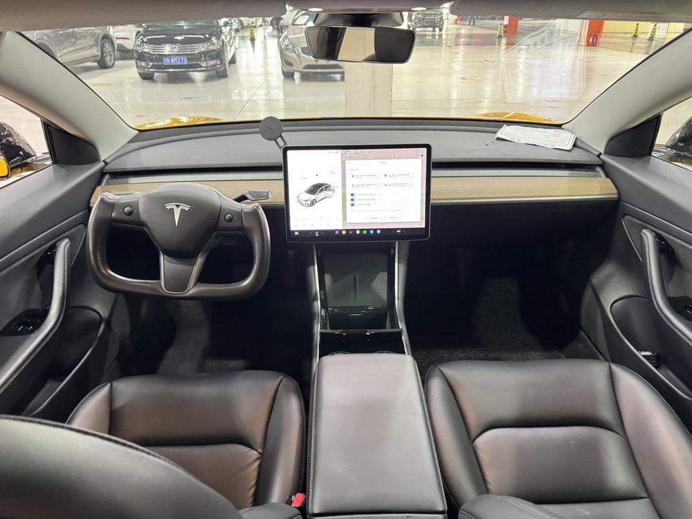 Tesla Model 3 2020 car image #14