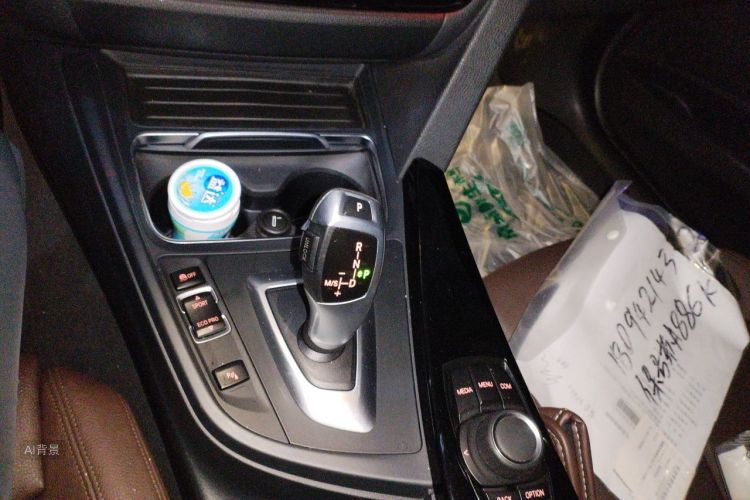 BMW 3 Series 2017 car image #16