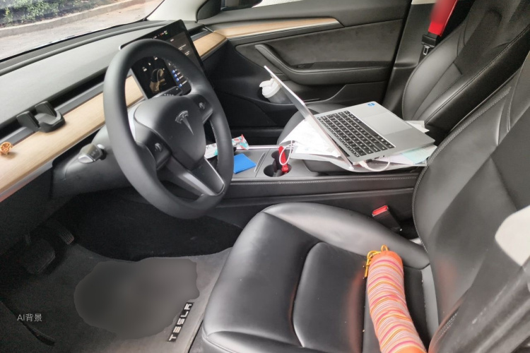Tesla Model 3 2021 car image #17