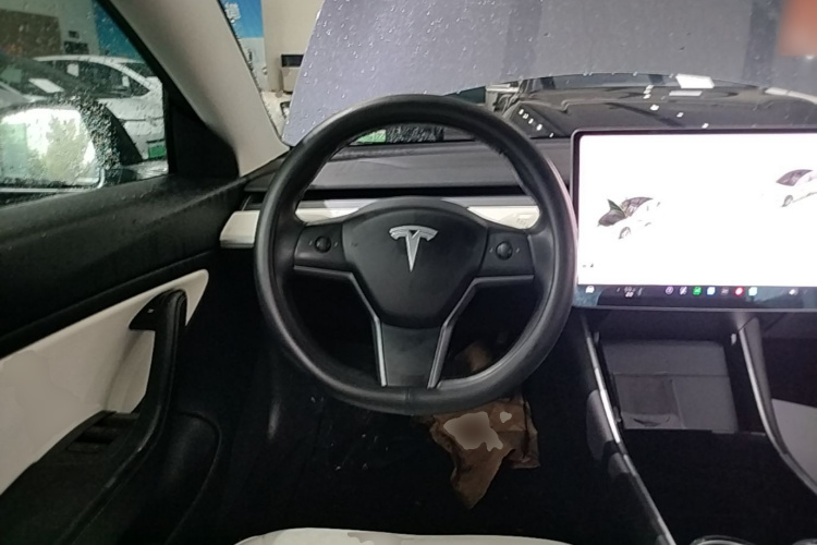 Tesla Model 3 2020 #15 Tesla Model 3 2020 car image #15