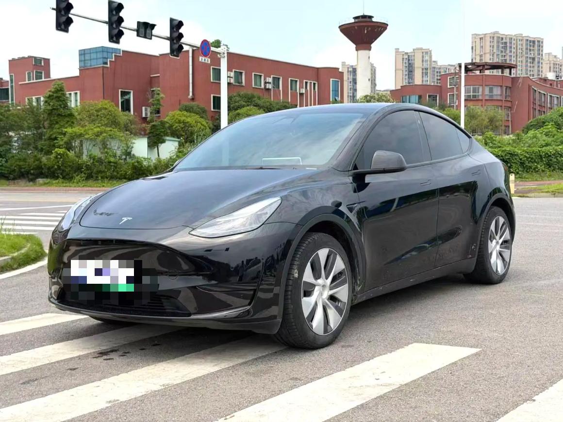 Tesla Model Y 2023 Tesla Model Y 2023 car image