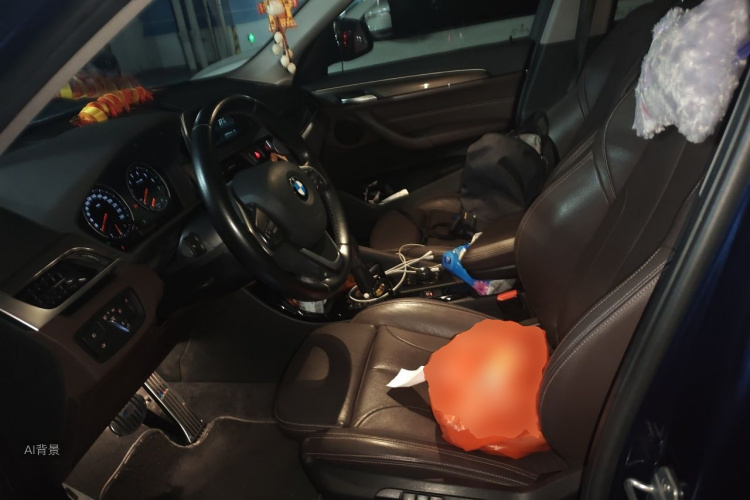BMW X1 2019 car image #17