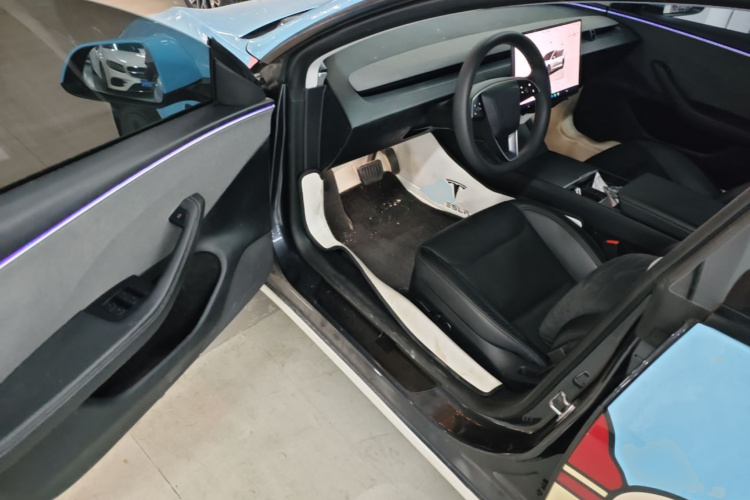 Tesla Model 3 2024 car image #16