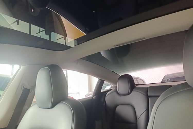 Tesla Model 3 2020 #18 Tesla Model 3 2020 car image #18