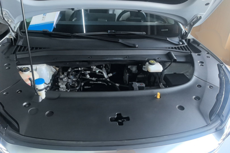 BYD Yuan Plus 2022 car image #20