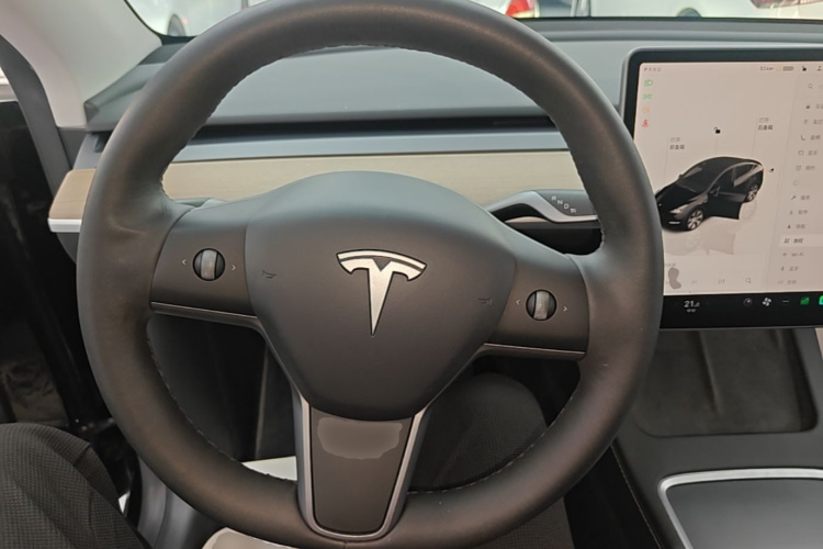 Tesla Model Y 2022 car image #11