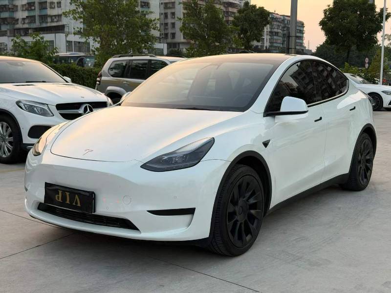 Tesla Model Y 2023 #3 Tesla Model Y 2023 صورة سيارة #3