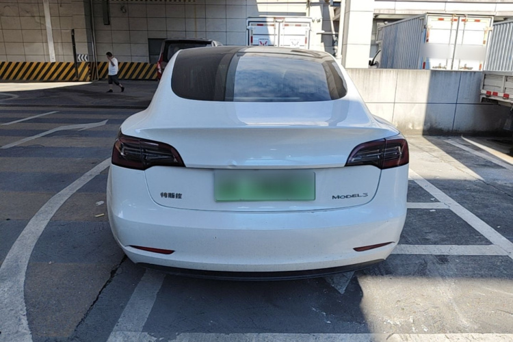 Tesla Model 3 2020 #6 Tesla Model 3 2020 car image #6