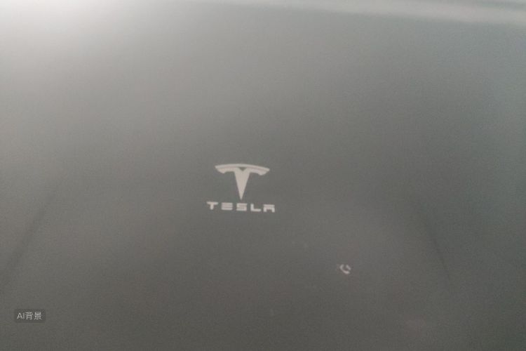 Tesla Model 3 2020 #21 Tesla Model 3 2020 car image #21