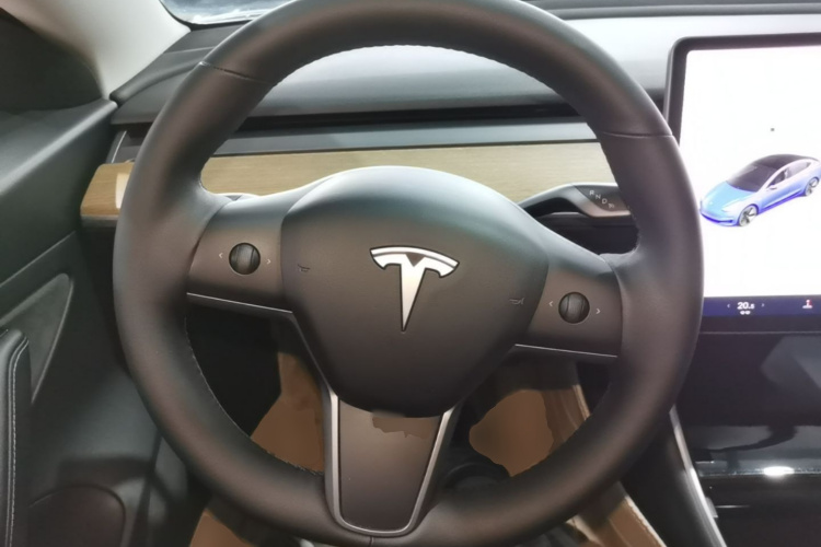 Tesla Model 3 2020 car image #11