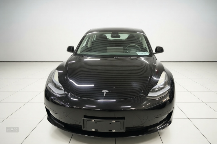 Tesla Model 3 2023 #3 Tesla Model 3 2023 car image #3