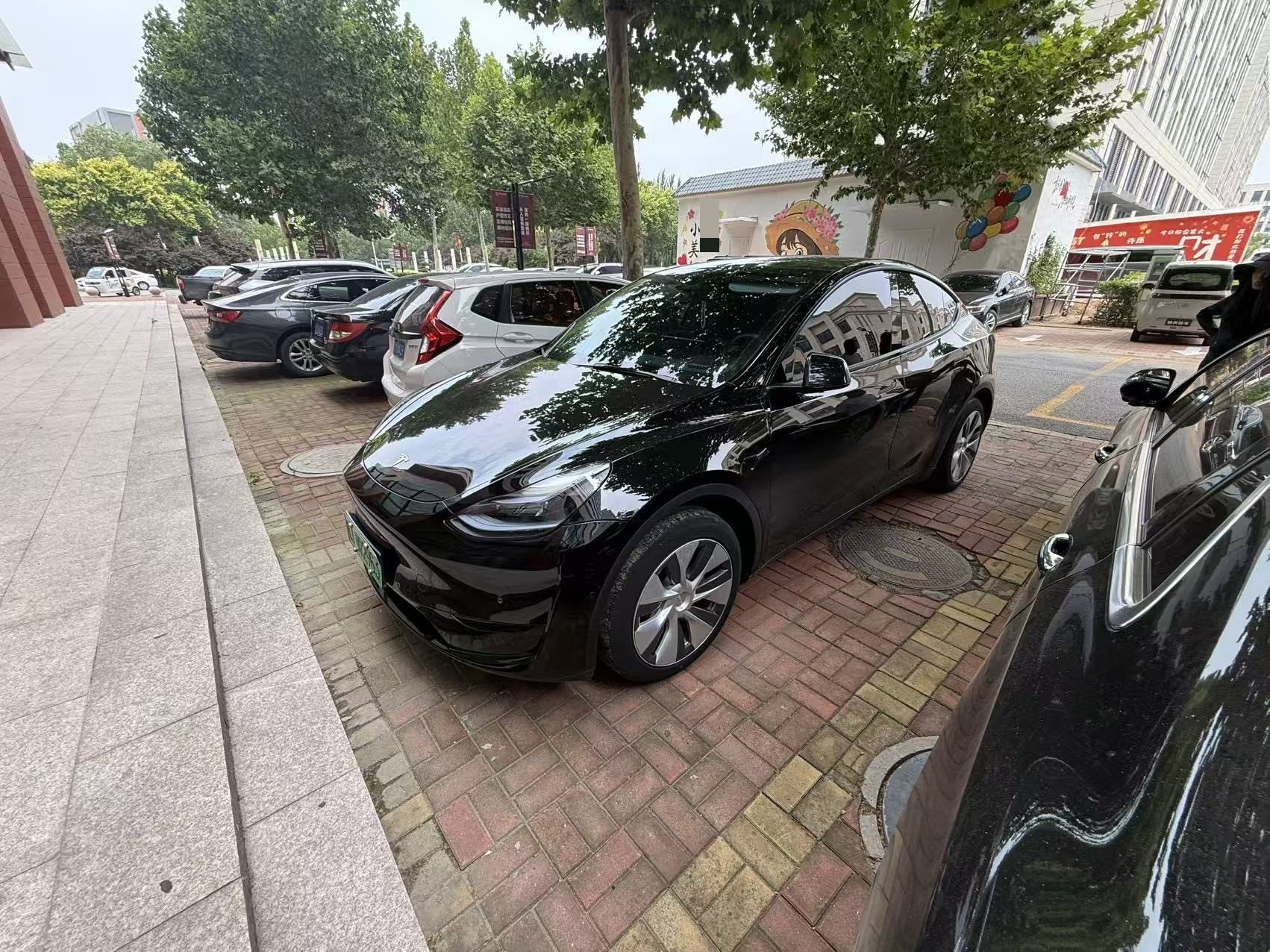 Tesla Model Y 2023 Tesla Model Y 2023 car image