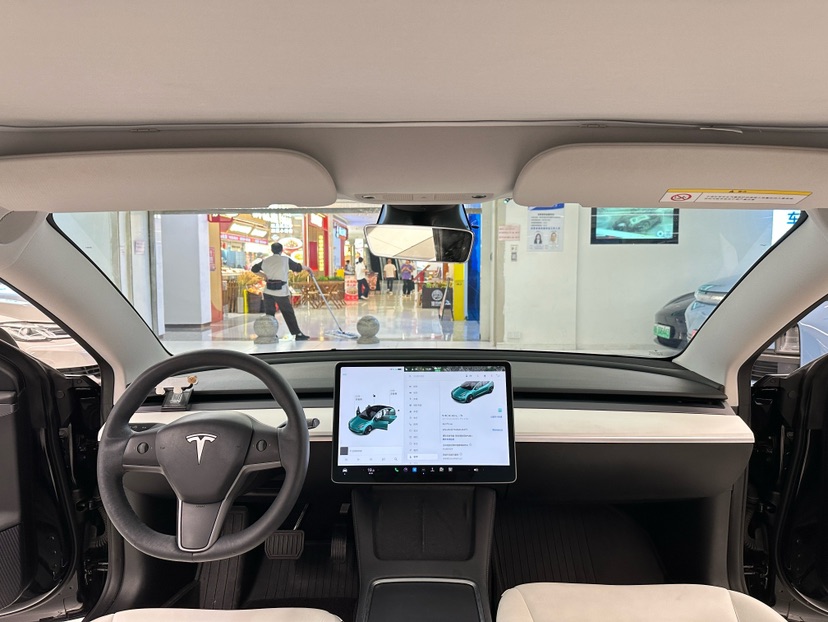 Tesla Model 3 2021 car image #4