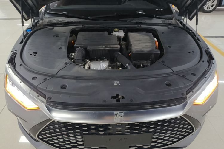 BYD Han 2022 immagine di auto #20